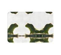 JKDGOJ Anti Slip Floor mat Lying Lizard Prints for Indoor and Outdoor Door mats, Suitable for Bedroom and Bathroom entrances 16x24in