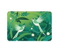 JKDGOJ Anti Slip Floor mat Strange Bird Prints for Indoor and Outdoor Door mats, Suitable for Bedroom and Bathroom entrances 16x24in