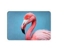 JKDGOJ Anti Slip Floor mat The Mighty Flamingo Prints for Indoor and Outdoor Door mats, Suitable for Bedroom and Bathroom entrances 16x24in