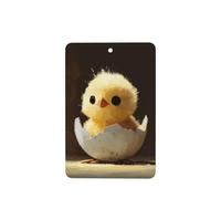 JKDGOJ Chick hatching from an egg Pattern 6-piece Rectangle car air freshener with hanging type car accessories