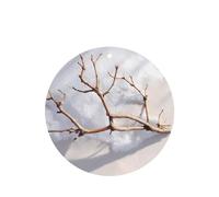 JKDGOJ Dead branches on the snow Pattern 6-piece Round Shape car air freshener with hanging type car accessories