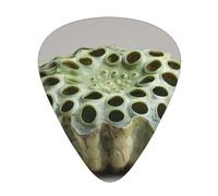 JKDGOJ Extra Large Lotus Seed Pattern Guitar plectrum 12 pieces with three thickness plectrum combinations suitable for bass and ukulele
