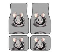 JKDGOJ Grey Rat Prints Car Floor mats with Anti Slip Front and Rear are Suitable for Cars, Trucks and SUV