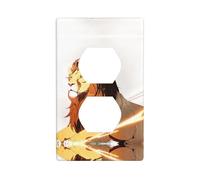 JKDGOJ Lion raising his head Prints Dual socket wall panel household power cover durable for decorative sockets and switches
