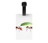 JKDGOJ Little Ants Hiding from The rain Pattern Luggage Tags and Travel Bag Tags are Suitable for Both Men and Women to Prevent Luggage