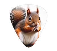 JKDGOJ Little Squirrel Pattern Guitar plectrum 12 pieces with three thickness plectrum combinations suitable for bass and ukulele