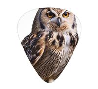 JKDGOJ Lucky Owl Pattern Guitar plectrum 12 pieces with three thickness plectrum combinations suitable for bass and ukulele