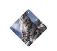 JKDGOJ Snow Leopard on the Mountain Pattern 6-piece Square car air freshener with hanging type car accessories