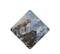 JKDGOJ Snow Leopard Patrol Mountain Pattern 6-piece Square car air freshener with hanging type car accessories