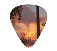 JKDGOJ sunset outside the window Pattern Guitar plectrum 12 pieces with three thickness plectrum combinations suitable for bass and ukulele