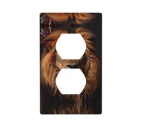 JKDGOJ The Lion's Gaze Prints Dual socket wall panel household power cover durable for decorative sockets and switches