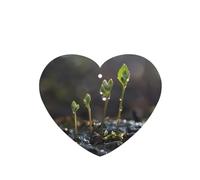 JKDGOJ Young sprouts in the rainy season Pattern 6-piece Heart Shape car air freshener with hanging type car accessories