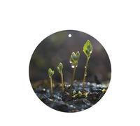 JKDGOJ Young sprouts in the rainy season Pattern 6-piece Round Shape car air freshener with hanging type car accessories