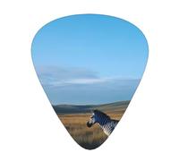 JKDGOJ Zebra in the grasslands Pattern Guitar plectrum 12 pieces with three thickness plectrum combinations suitable for bass and ukulele