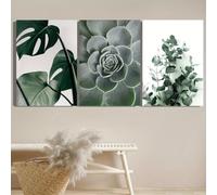 JKEVCBIAX Blend Classical Modern Styles Green Plants, Including Leaves Succulents, And Eucalyptus Leaves Botanical Art Poster Decor(50x70cmx3/NO frame)