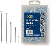 JKG® 250 Assorted Nails for Wood - Iron Nails Set | Hard Nails, Hanging Pictures | Small, Medium, Long DIY Nails, Panel Pins | Flat Headed Woodwork, Wire Common Construction Nails (in Plastic Case)