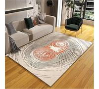 JKGHK Portable Heated Floor Mat, Infrared Heated Area Rug with Adjustable Temperature, Plush Detachable Heating Pad, Heating Carpet for Indoor, Living Room, Bedroom(Color F,80x160cm/31x63in)
