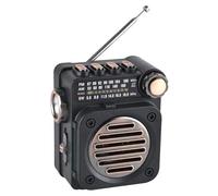 Jkjlorey FM Radio Portable Radio Mini Radio Mini FM AM SW Radio Receiver Built-in Speaker Wireless Bluetooth 5.0 Music Player with LED Flashlight
