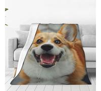 Jkkghll Cute Corgi Print Anti-Pilling Flannel Throw Blankets Winter Blanket Bed Camping Outdoor Escapades