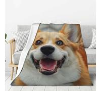 Jkkghll Cute Corgi Print Stay Fresh Clean Lightweight Warm Blanket Soft Bedding Adult Camping Home Daily Use