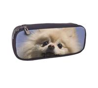 JKLQWC Cute Pomeranian Printed PU Leather Pencil Case Cute Pen Pencil Box Bag Zipper Office School Pencil Pouch Organizer for Students Teen Girls Boys Adult Gifts