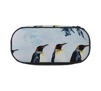 JKLQWC Dual-Zip Pencil Case Organizer with Mesh Compartment & Pen Holders - Penguins On The Iceberg Prints Multi-Purpose Stationery Holder, Travel-Friendly Cosmetic Bag for School, Office, Gifts