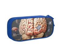 JKLQWC Human Brain Printed Pencil Case Cute Pen Pencil Box Bag Zipper Storage Organizer Box Holder for Office School Teen Girl Boy Adult,Blue