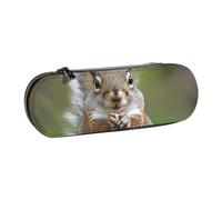 JKLQWC Red Squirrel Printed Pencil Case Cute Pen Pencil Box Bag PU Leather Zipper Pencil Pouch Organizer for Office School Travel