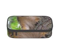 JKLQWC Squirrel in The Tree Printed Pencil Case Cute Pen Pencil Box Bag Large Capacity Compartment Zipper Pencil Pouch Organizer for Office School Travel