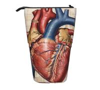 JKLQWC Standing Retractable Cute Pencil Case Organizer - Human Anatomy Heart Chart Prints Stationery & Makeup Pouch for Travel, School, Office, Gifts