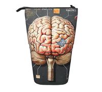 JKLQWC Standing Retractable Cute Pencil Case Organizer - Human Brain Prints Stationery & Makeup Pouch for Travel, School, Office, Gifts