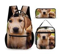 JKLQWH Cute Golden Retriever Puppy Backpack 3pcs Set Large Capacity Computer Backpack Reusable Lunch Bag Portable Pencil Case