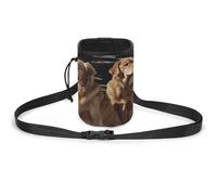 JKLQWH Golden Retrievers Printed Pet Training Package Dog Walking Fanny Pack Dog Training Treat Pouch Portable Pet Pocket Puppy Treat Bag Pets Outdoor