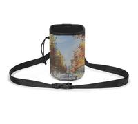 JKLQWH Long Straight Road Printed Pet Training Package Dog Walking Fanny Pack Dog Training Treat Pouch Portable Pet Pocket Puppy Treat Bag Pets Outdoor