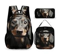 JKLQWH Pad Dachshund Backpack 3pcs Set Large Capacity Computer Backpack Reusable Lunch Bag Portable Pencil Case