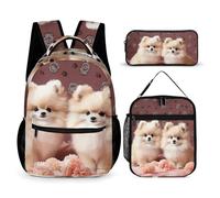 JKLQWH Pomeranians Puppies And Point Backpack 3pcs Set Large Capacity Computer Backpack Reusable Lunch Bag Portable Pencil Case
