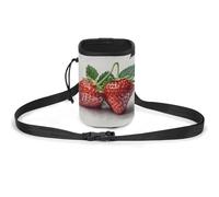 JKLQWH Two Strawberries Printed Pet Training Package Dog Walking Fanny Pack Dog Training Treat Pouch Portable Pet Pocket Puppy Treat Bag Pets Outdoor