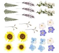 jklymm 18 Pressed Plant Sheets User Friendly Craft Materials Set for Homes Decoration and Artistic Projects User Friendly Pressed Flower Supplies