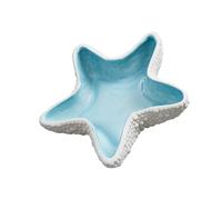 jklymm Naval Fashion Earthenware Addons Tray Decorative Functional Planner for Daily Jewelry and Conceit Rudiments Echinoderm Molded Jewelry Dish