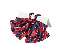 JKQBUX Elegant Bow Tie Women's Pre-Tied Neckties Bowknot Stripe Adjustable Casual Uniform Bowtie Blouse Neck ties, T20, 19W*10L