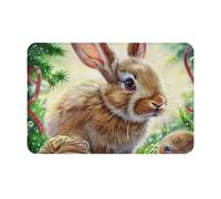JKSEEPYN Bunny Rabbit Printed Door Mat 60x40 CM Indoor Outdoor Doormat Absorbent Welcome Mat Non-Slip Front Door Mat for Front & Back Door