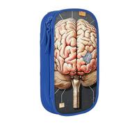 JKSEEPYN Human Brain Printed Double-Layer Pencil Case, Blue Large Capacity Cute Pen Pencil Pouch for School, Office, Travel, or Makeup Organizer