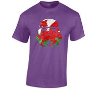 JLB Print Trooper Helmet Wales Space Wars Sci Fi Movie Film Inspired Premium Quality Regular Fit T-Shirt Top for Men and Teens - Purple/X-Large