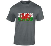 JLB Print Vintage Wales Flag Cool Novelty Premium Quality Regular Fit T-Shirt Top for Men and Teens - Charcoal/Large