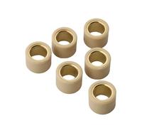 JLJLJ 6PC B//e//v//e//r//l//y//250 Variator Roller 13g 14g Weights 21x17mm For P//i//a//g//g//i//o B//e//v//e/r//l//y M//p//3 X7 X8 X9 X//e//v//o 250cc 4T(21x17mm 14g)