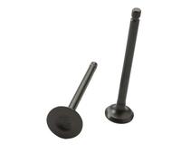 JLJLJ Scooter L//u//d//i//x//50 Intake And Exhaust Valves For P//e//u//g//e//o//t 50 Pro S//p//e//e//d//f/i///g//h//t 3 4 V//i//v//a/c//i//t//y3 50cc 1P37QMB 4T