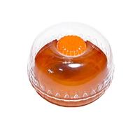 Jlobnyiun Portable Fruit Bowl with Lid,Transparent Airtight Fruit Containers - Portable Tomato Storage Container, Food-Grade Fruit Bowl for Lemon, Avocado