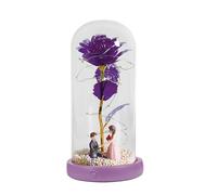 Jlobnyiun Preserved in a Glass Dome - Musical Artificial Flower LED Fairy Lights Romantic Lamp Decorative | Perfect for Women, Moms, Birthdays, Anniversaries, Weddings, Home