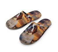 JLXRBFDA Saint Bernard Dog Sunset Mens Slippers Indoor House Shoes Bedroom Slipper for Hotel Spa Guest Travel
