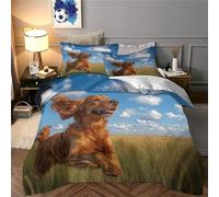 JLZBXCUER Irish Setter Duvet Cover Set 3 PCS Hotel Quality Quilt Cover Bed Sets Bed Covers with Pillowcases with Zipper Closure Breathable Stylish Comforter King（220x240cm）